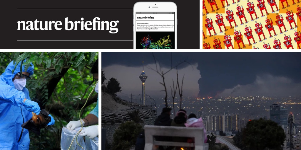 Engenharia Genética: Mosquitos Programados Para Vacinar Morcegos Contra Zoonoses