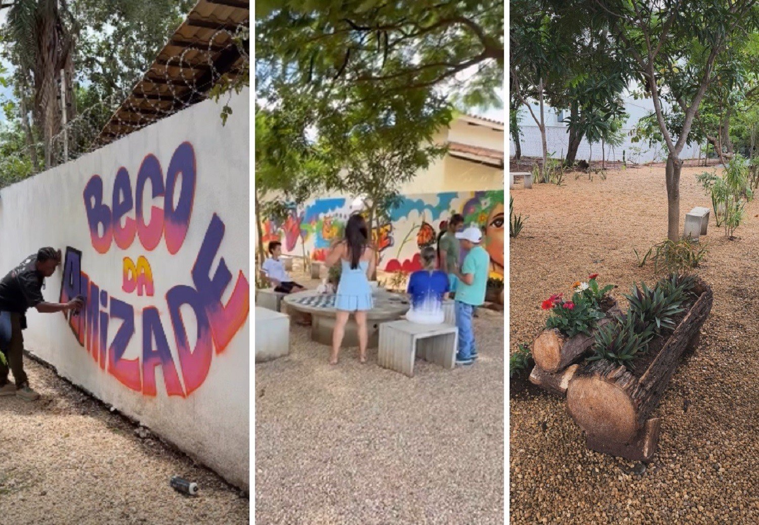 Influenciador transforma 'depósito de lixo' em espaço de convivência em Palmas