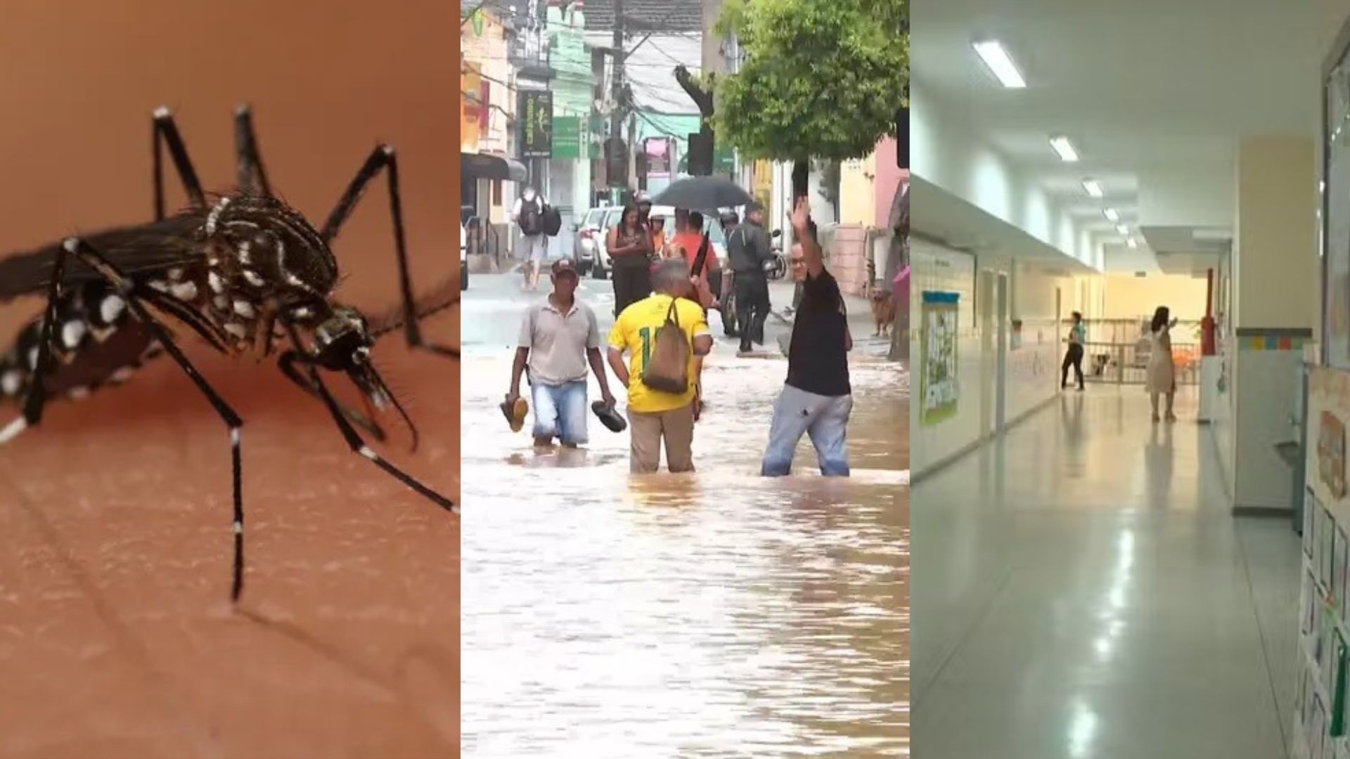De estoque de remédios à garantia de água: TCE recomenda 50 medidas para ES enfrentar o Super El Niño