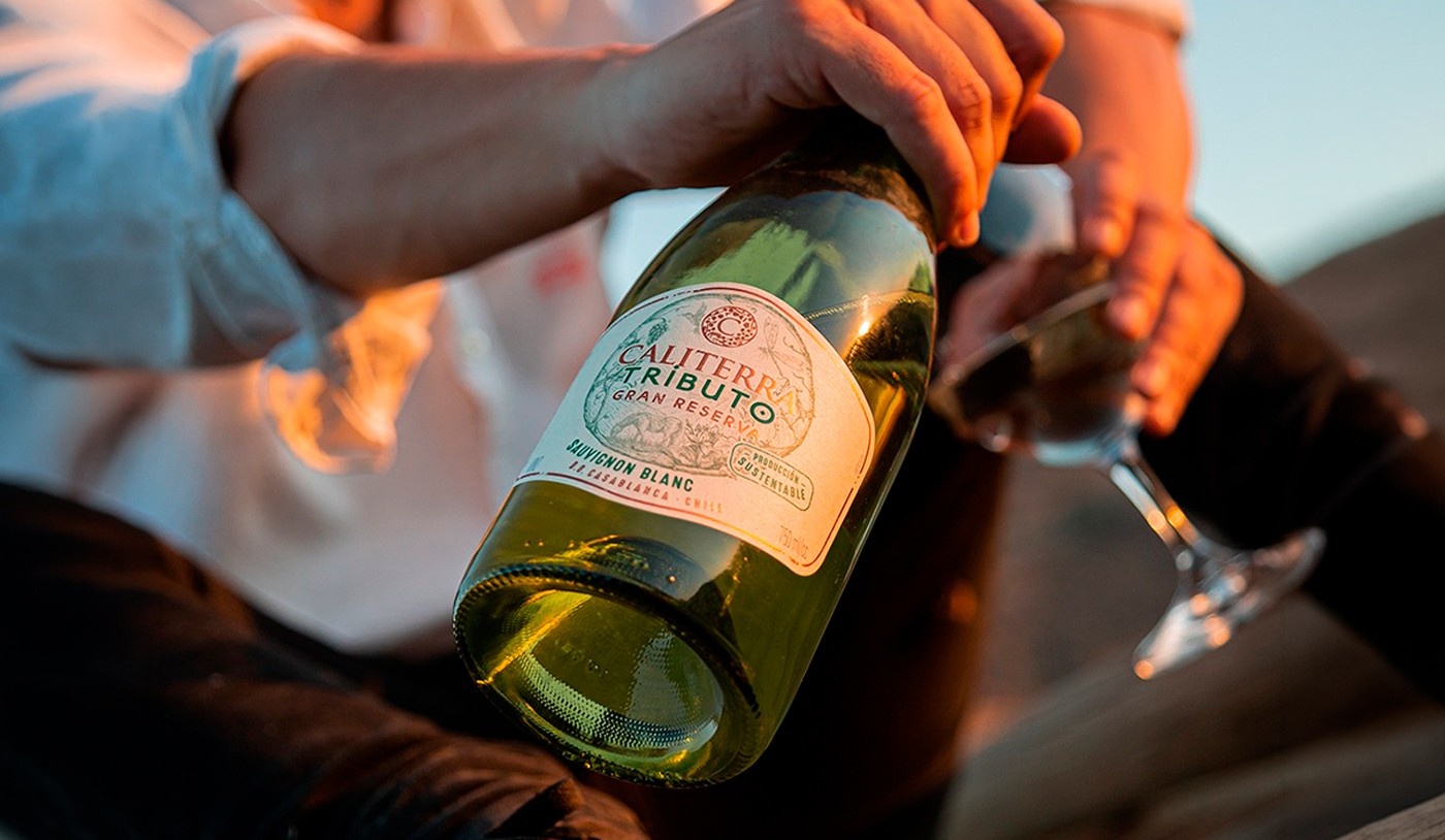 O Vinho Sauvignon Blanc e a Redefinição do Paladar Paranaense: Uma Análise da Dinâmica Regional