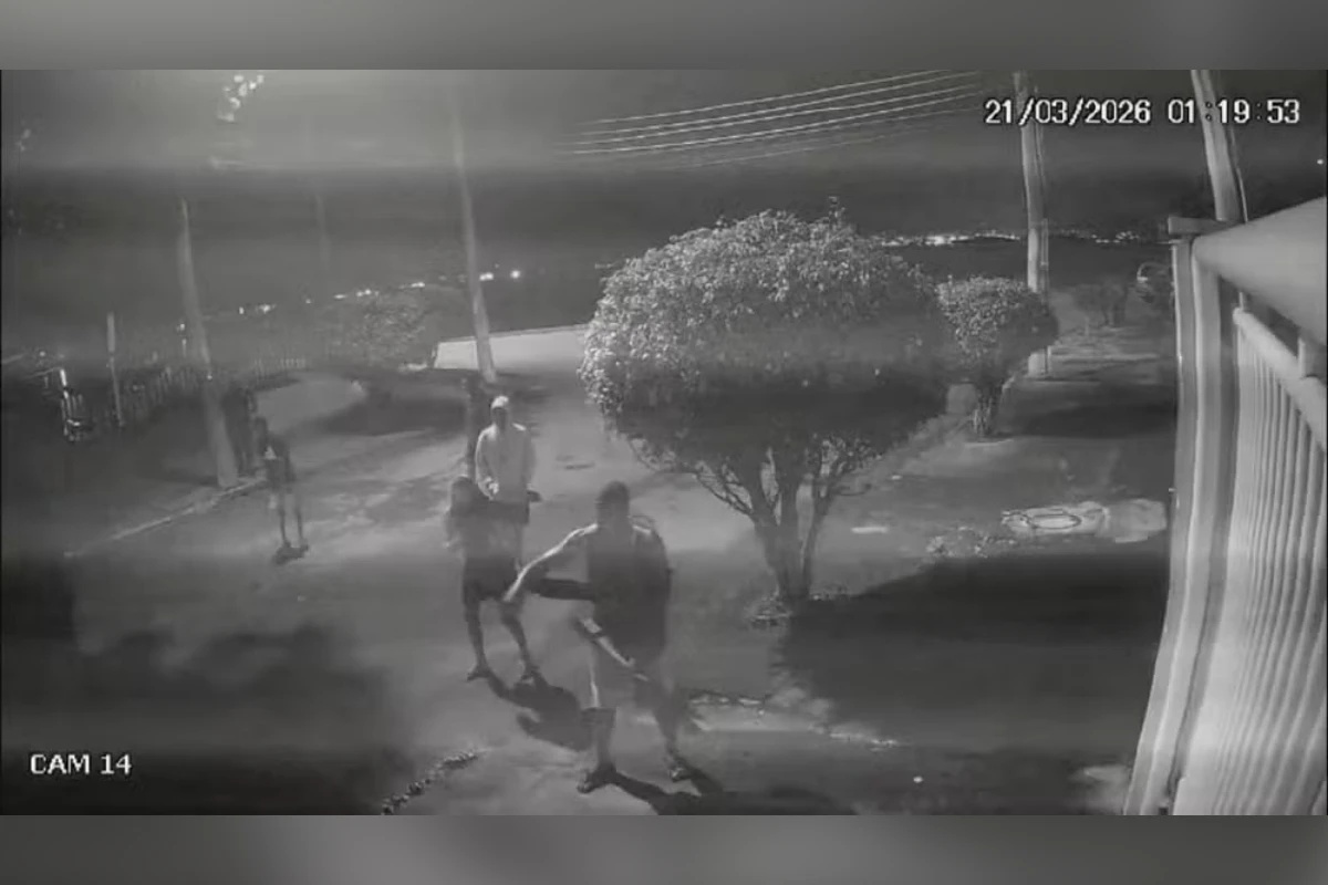 Decreto Cão Orelha: Multas Elevadas por Maus-Tratos Animais Sinalizam Nova Era Legal e Social