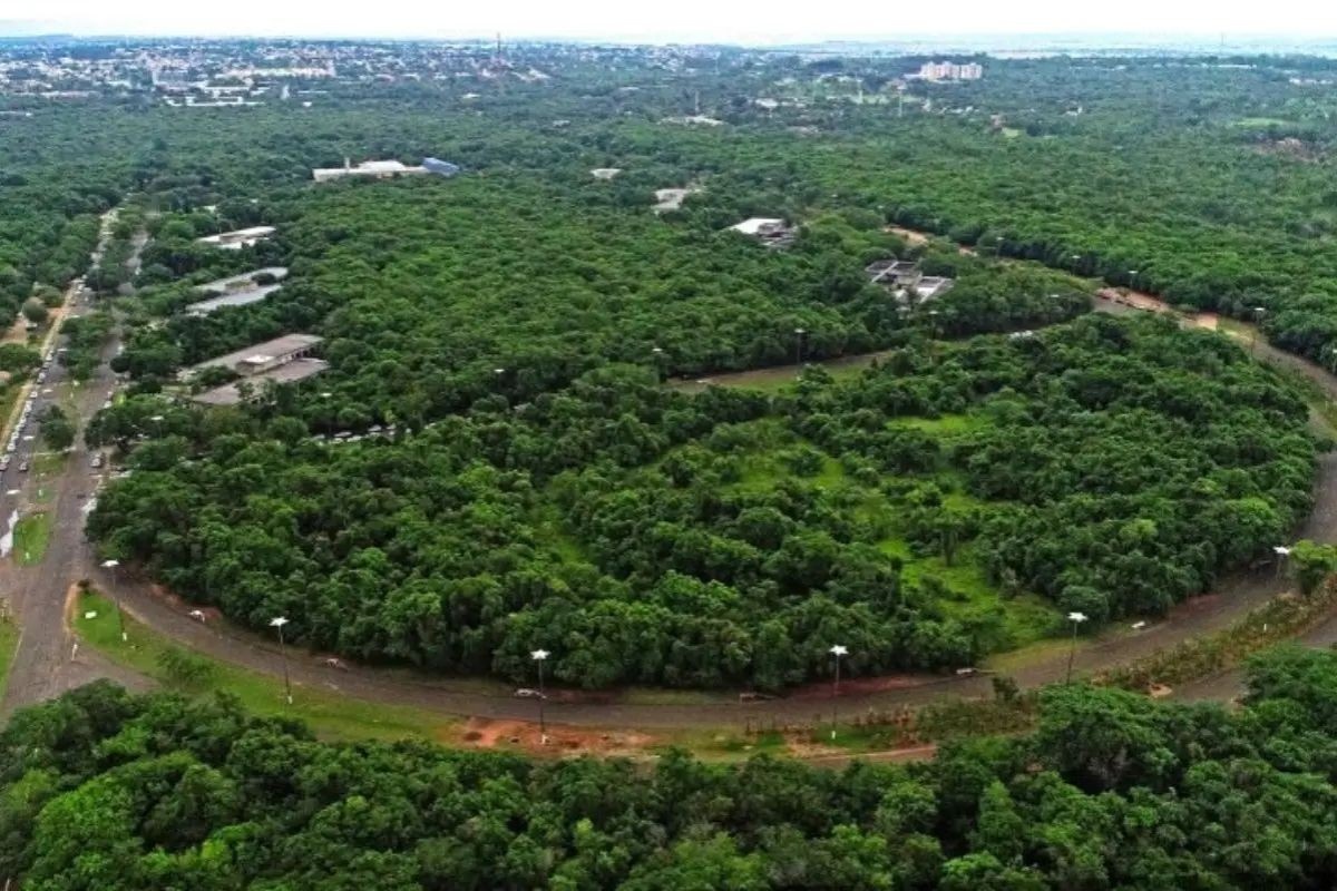 Decreto do Parque do Prosa: Uma Análise Profunda das Novas Regras e Seus Impactos Urbanos em Campo Grande