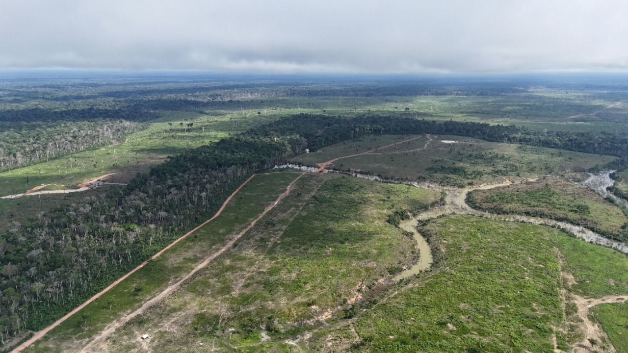 Amazonas: A Queda do Desmatamento que Esconde Vulnerabilidades Estruturais