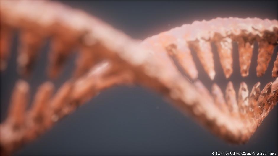 Descoberta Revolucionária: Proteína Bacteriana Sintetiza DNA Sem Modelo