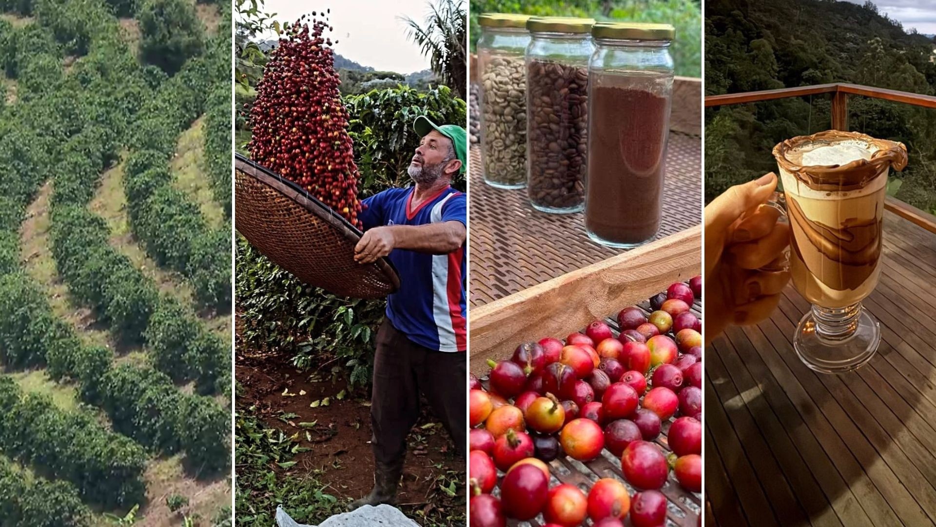 Caparaó: O Café como Pilar de um Turismo Transformador e Resiliência Fiscal Regional