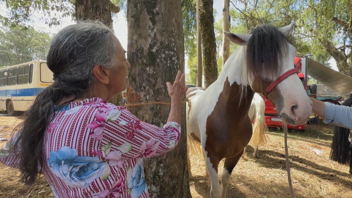 Fé e Campo Digital: A Adaptação da Bênção Animal no RS e o Reflexo na Resiliência Rural