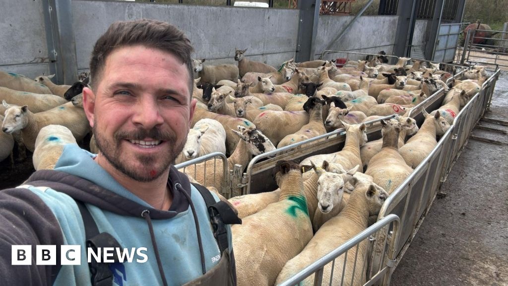 O Impacto Científico da Nova Lei Animal: DNA Forense e Comportamento Canino na Proteção da Pecuária