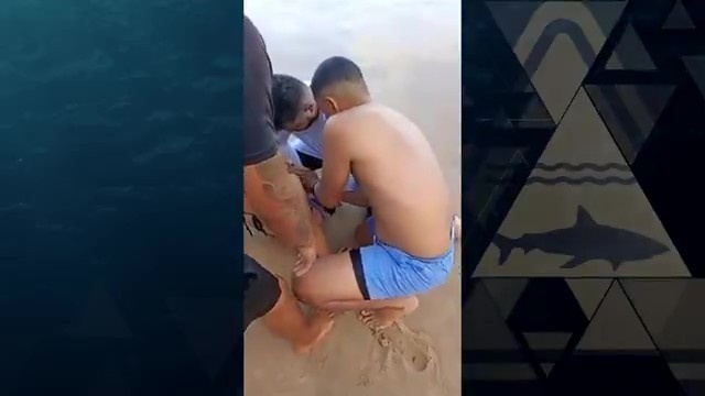 Pernambuco sob a Lupa: Desvendando a Complexa Realidade dos Ataques de Tubarão no Litoral