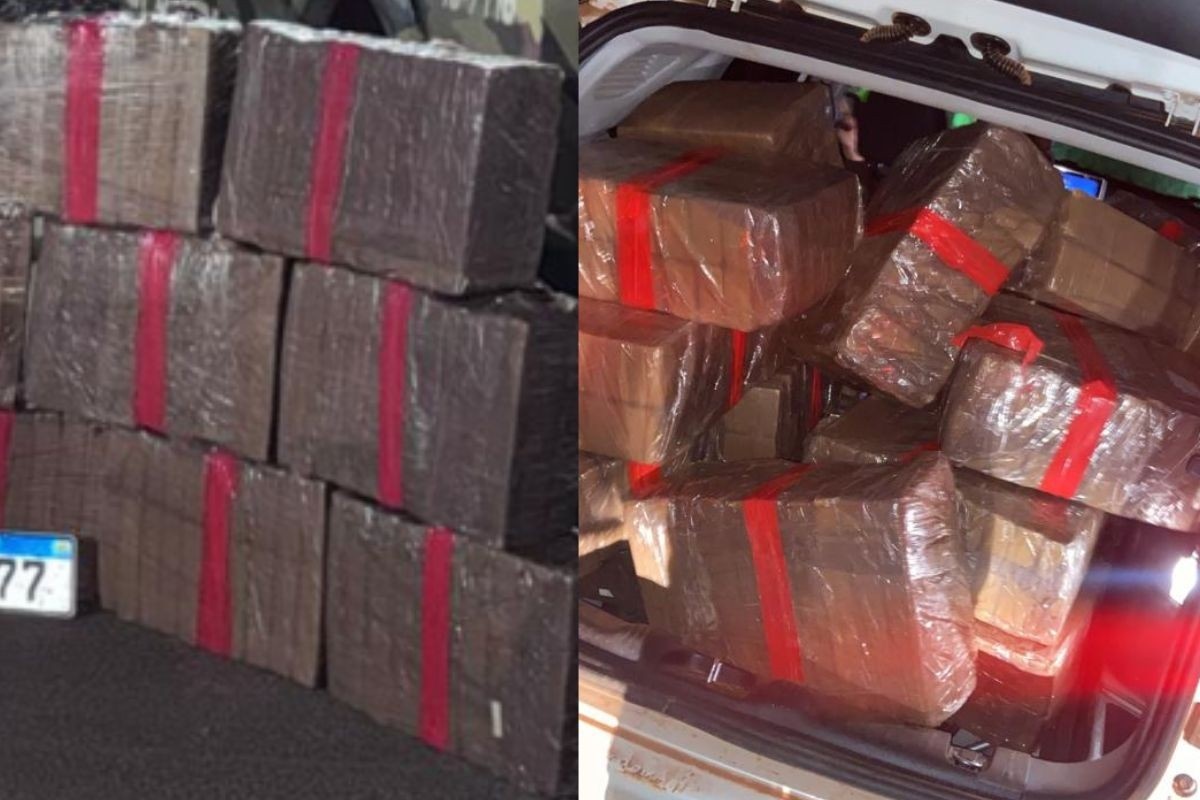 Desarticulação de Rota Bilionária: Apreensão de 550 kg de Maconha na BR-158 Revela Complexidade do Tráfico em Mato Grosso