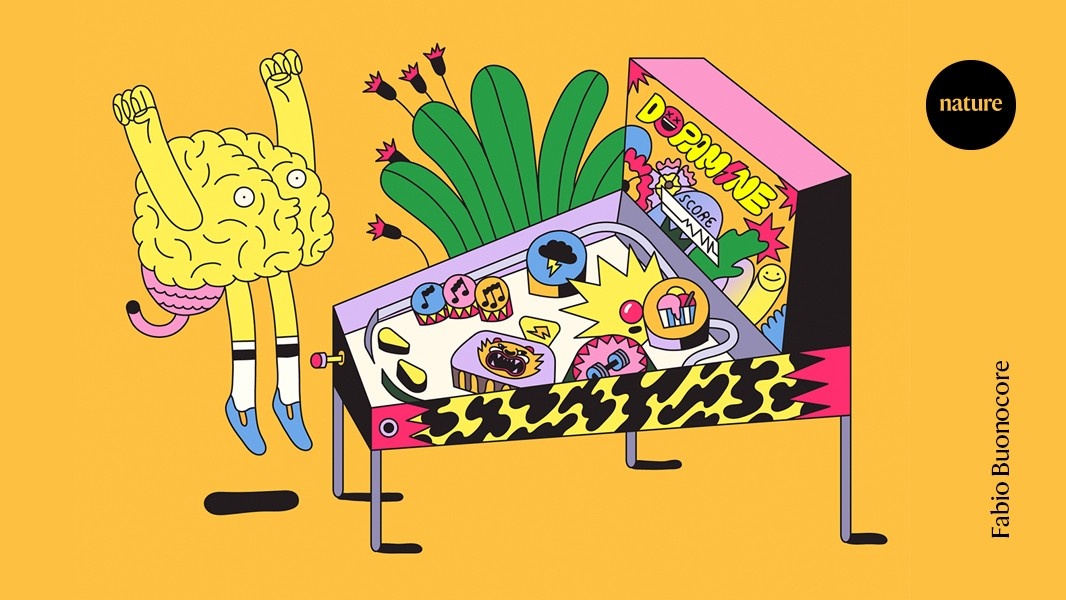 Neurociência Reimagina a Dopamina: Além do Prazer, o Novo Mapa do Cérebro