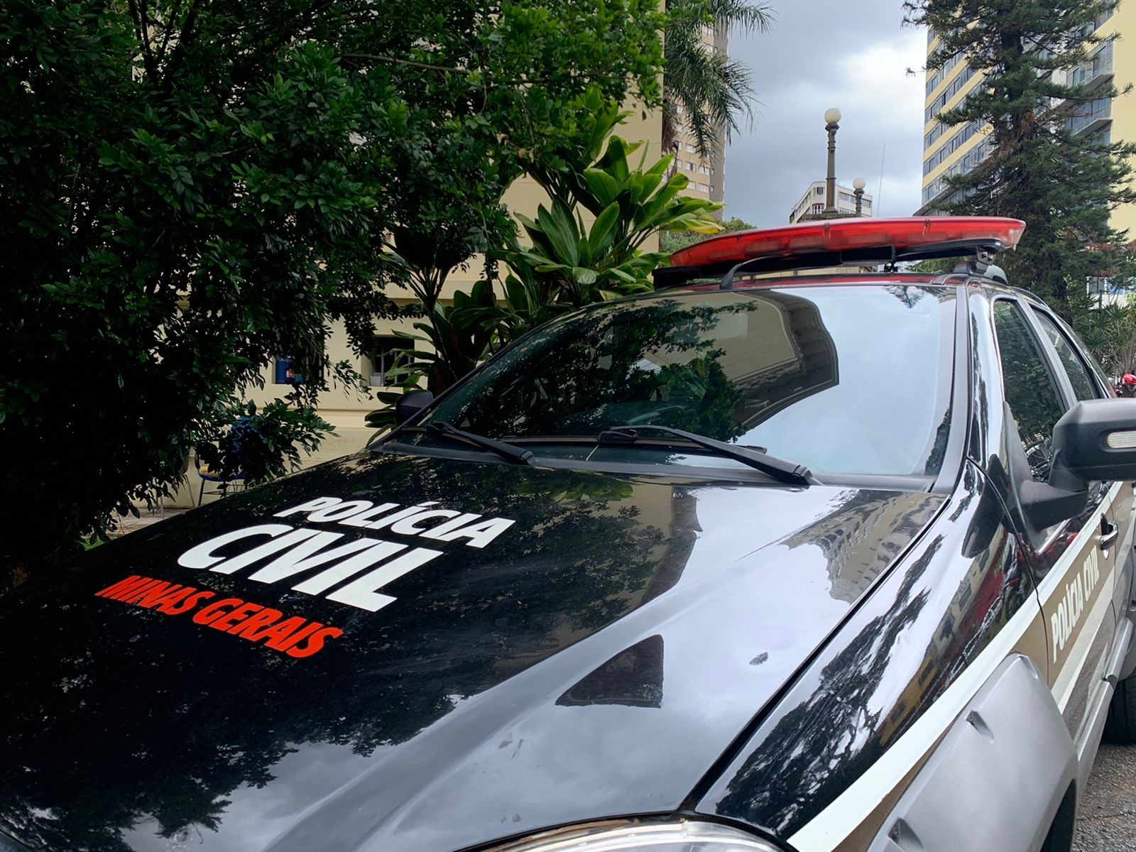 Violência Letal em Praça Pública: O Alerta Silencioso para a Segurança Regional