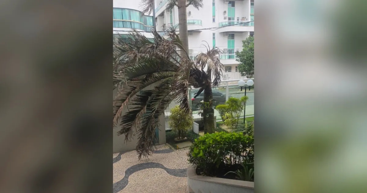 Ventos Extremos no Rio: Análise da Vulnerabilidade Urbana e as Tendências Climáticas