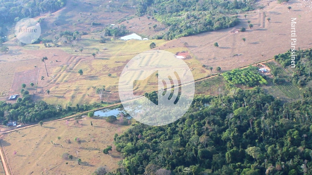 Novas Evidências de Civilização Antiga na Amazônia Redefinem História e Sustentabilidade