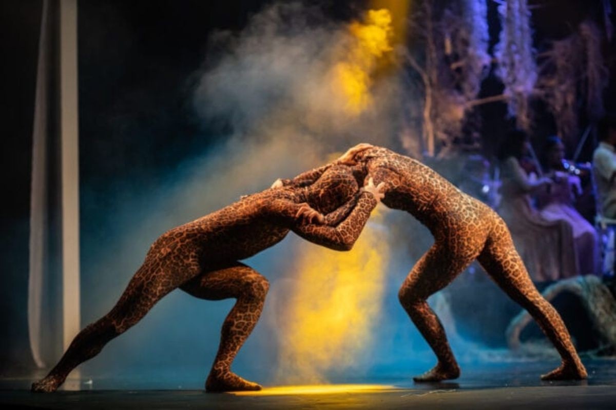 Além do Espetáculo: 'Guadakan' e a Interseção Crítica entre Cultura, Natureza e Desenvolvimento Regional em MS