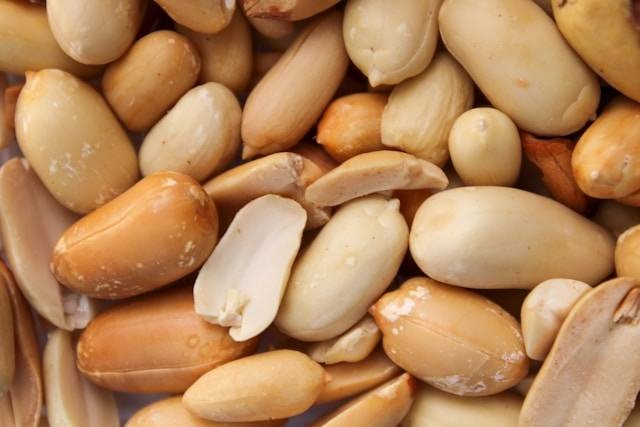 Amendoim: A Ascensão Silenciosa de um Ativo Estratégico no Mercado de Proteínas Vegetais