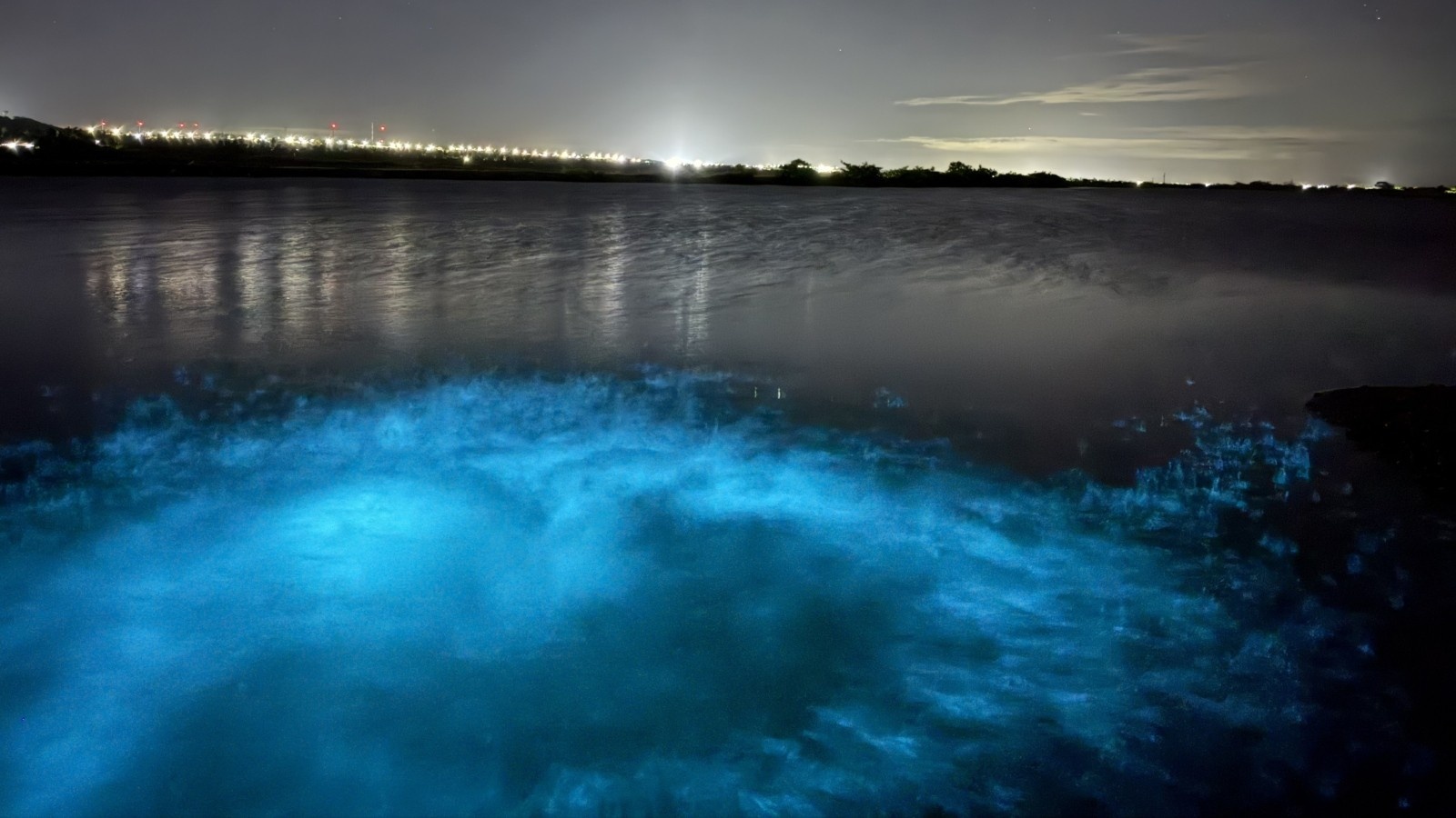 Luz no Mar Cearense: Fenômeno Bioluminescente em Icapuí Acende Debate entre Turismo e Sustentabilidade Pesqueira