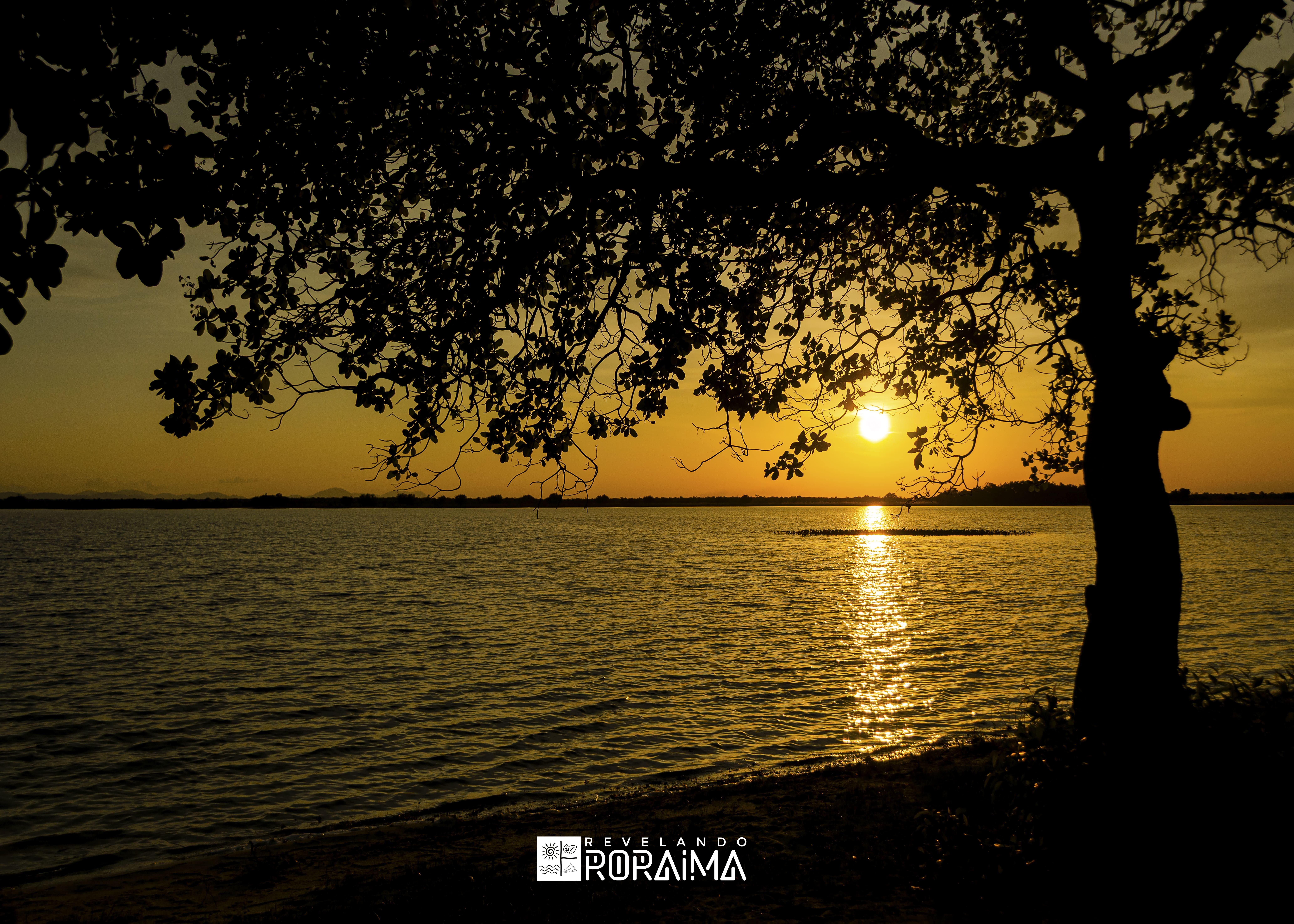 Roraima Reafirma Identidade: Exposição Fotográfica 'Revelando Roraima' é Estratégia de Desenvolvimento e Orgulho Regional