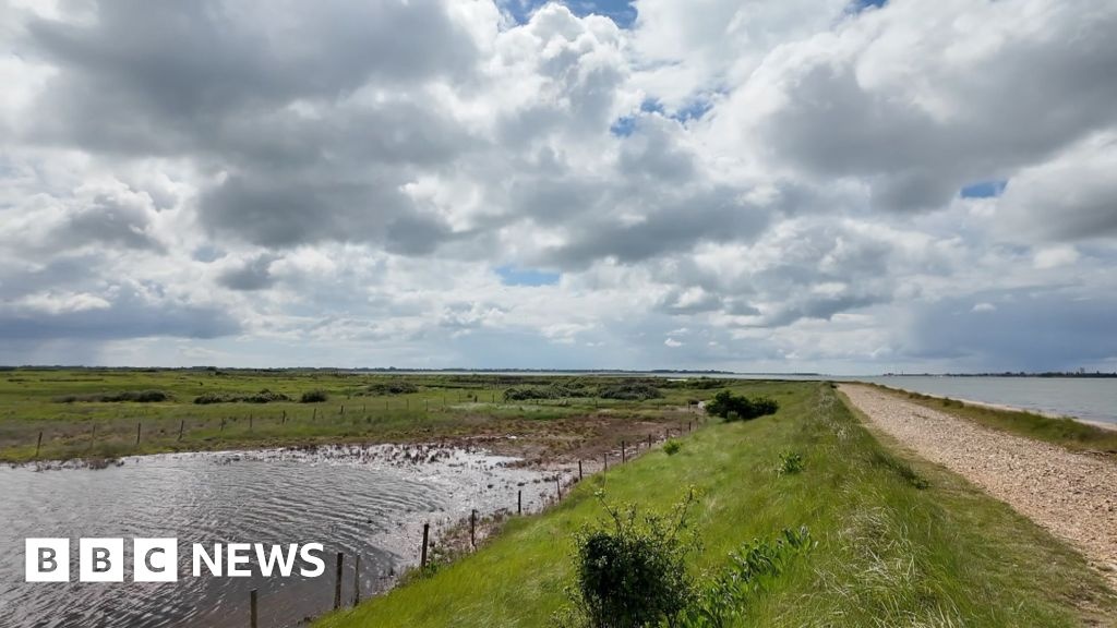 Reserva Natural Europeia Ameaçada: O Colapso Silencioso da Defesa Costeira e Suas Implicações Globais
