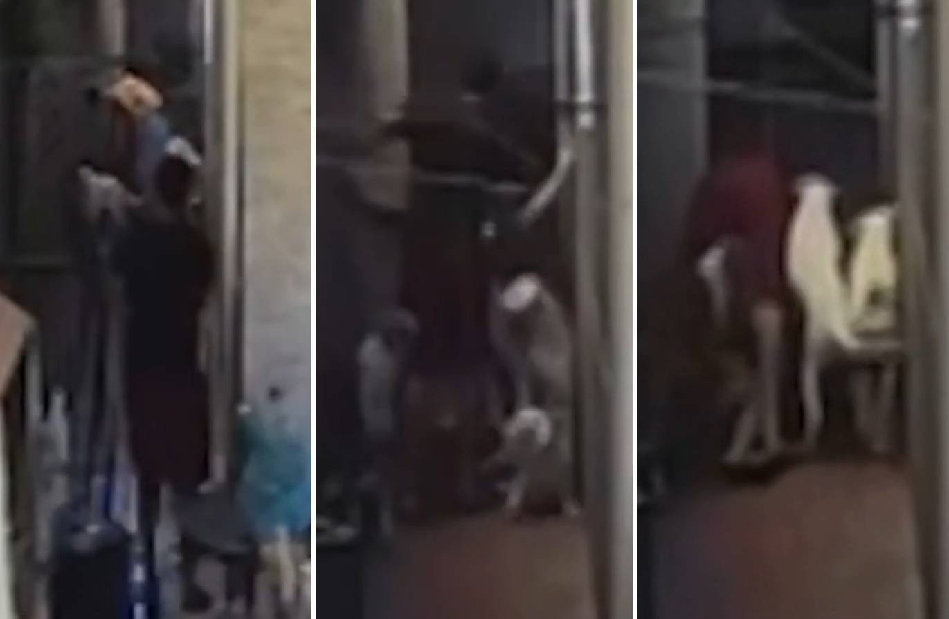Agressão Brutal em BH Expõe Lacunas na Proteção Infantil e o Desafio da Impunidade