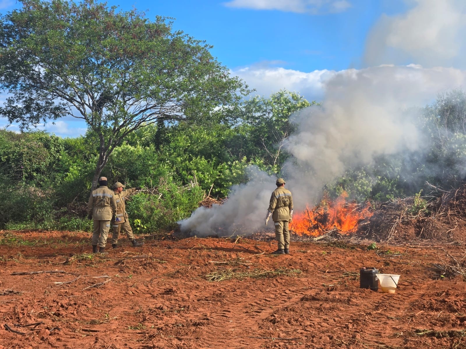 Acopiara: A Controversa Destruição da Mega Plantação de Maconha e os Desafios da Credibilidade Pública