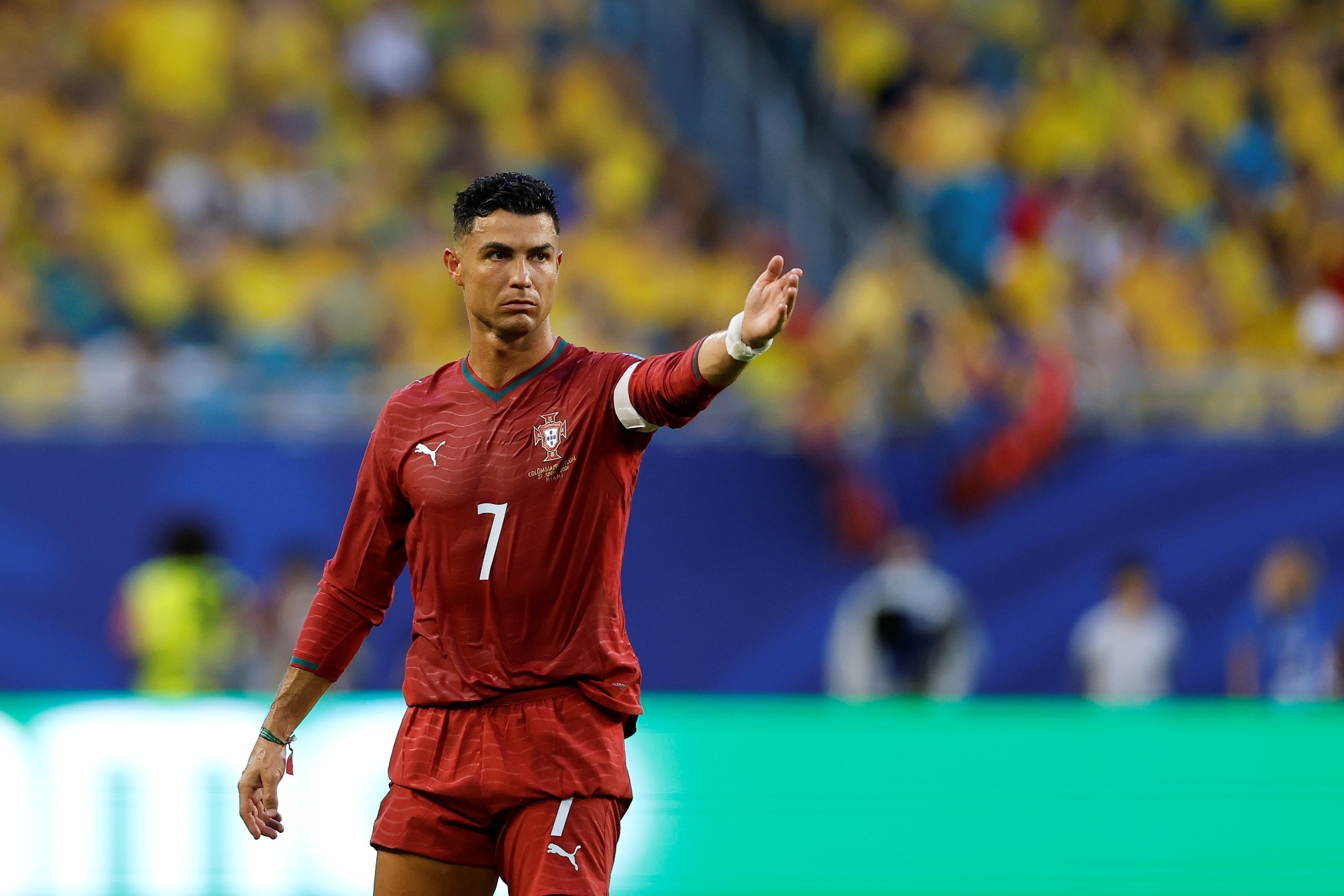 Identidade Inalterada: FPF Ratifica Emblema da Seleção de Portugal