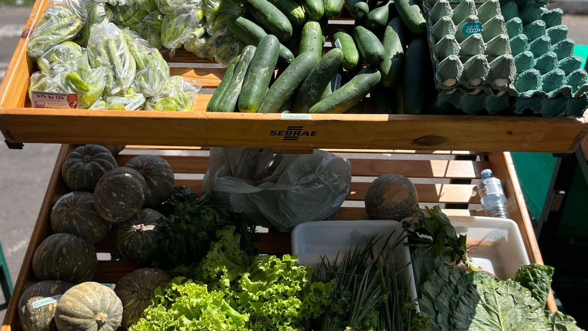 Feira Tucuju: A Essência Regional Que Impulsiona a Economia e a Cultura do Amapá