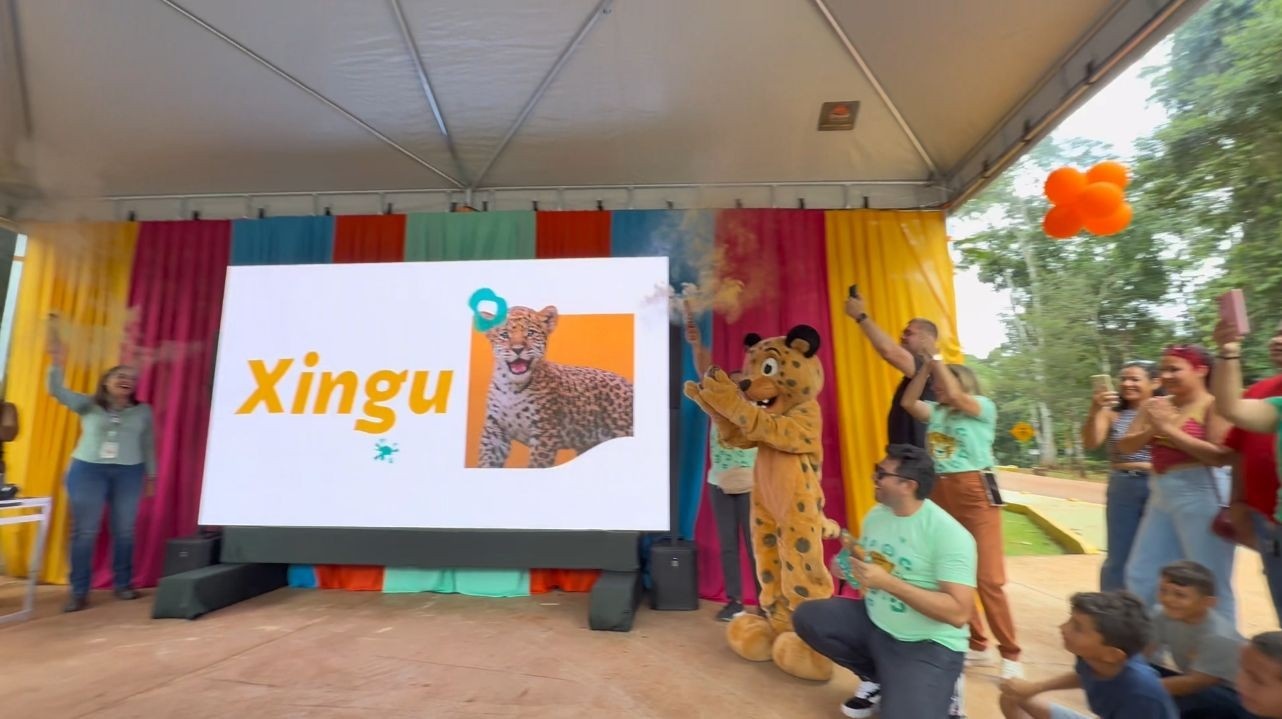 O Significado Profundo por Trás do Nome 'Xingu' para a Onça-Pintada de Carajás