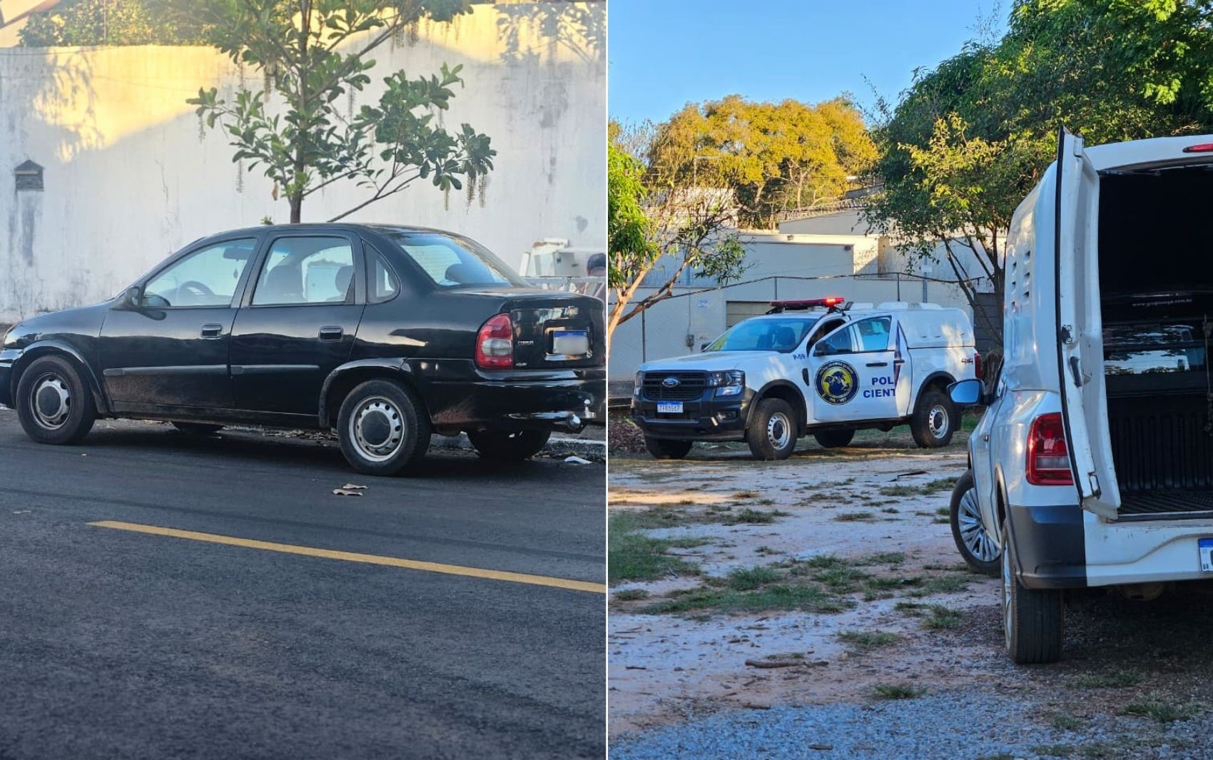 Goiânia em Alerta: O Resgate de Filhotes no Porta-Malas e o Debate Urgente sobre Abandono Animal