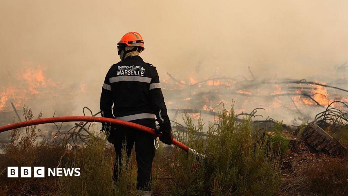 Megaincêndios na Europa Exigem Análise Científica Urgente sobre Resiliência Climática