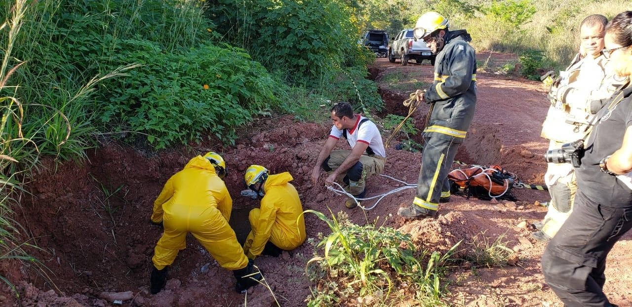 Captura de Foragido do Caso 'Vampiro do Itapoã' no DF: Tecnologia e o Novo Cenário da Segurança Pública Regional