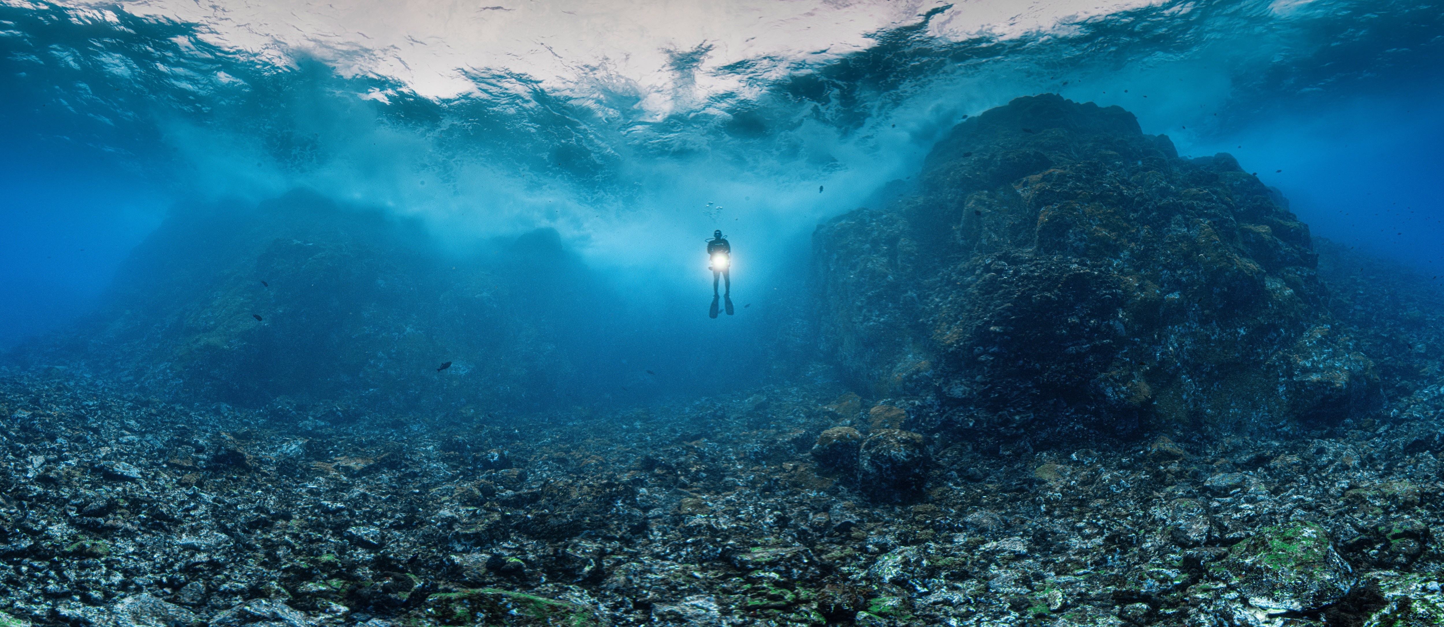 Noronha Submersa: Como Inéditas Panorâmicas Remodelam o Turismo e a Consciência Ambiental