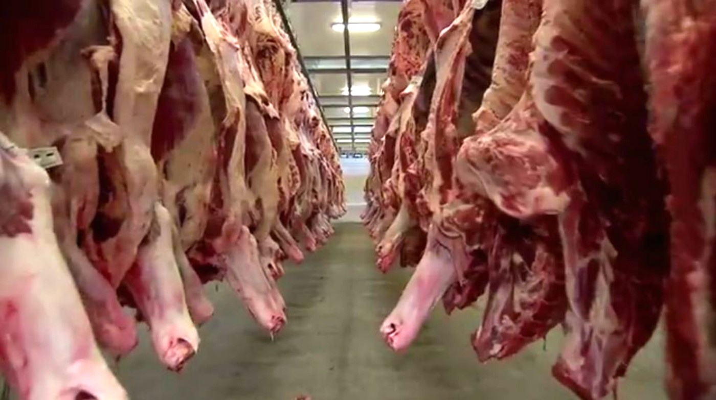 Mato Grosso do Sul no Limite da Carne: Como a Cota Chinesa Redefine a Indústria e o Emprego Regional
