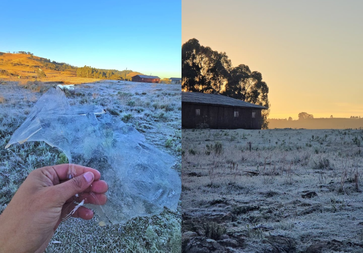 O Inverno Antecipado em Santa Catarina: Análise do Impacto das Temperaturas Recordes para a Economia Regional