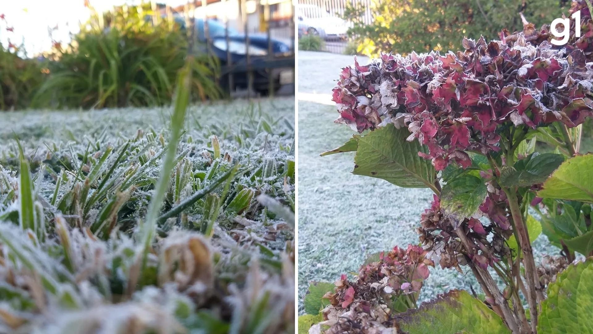 Persistência do Frio Intenso no Rio Grande do Sul Sinaliza Desafios Econômicos e Sociais