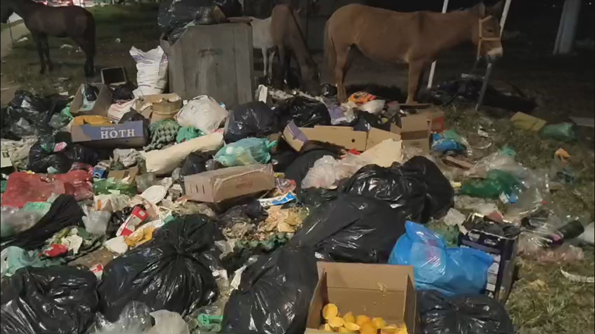 Limpeza Pública no DF: A Superfície Restaurada e o Profundo Debate Sobre Valorização Essencial