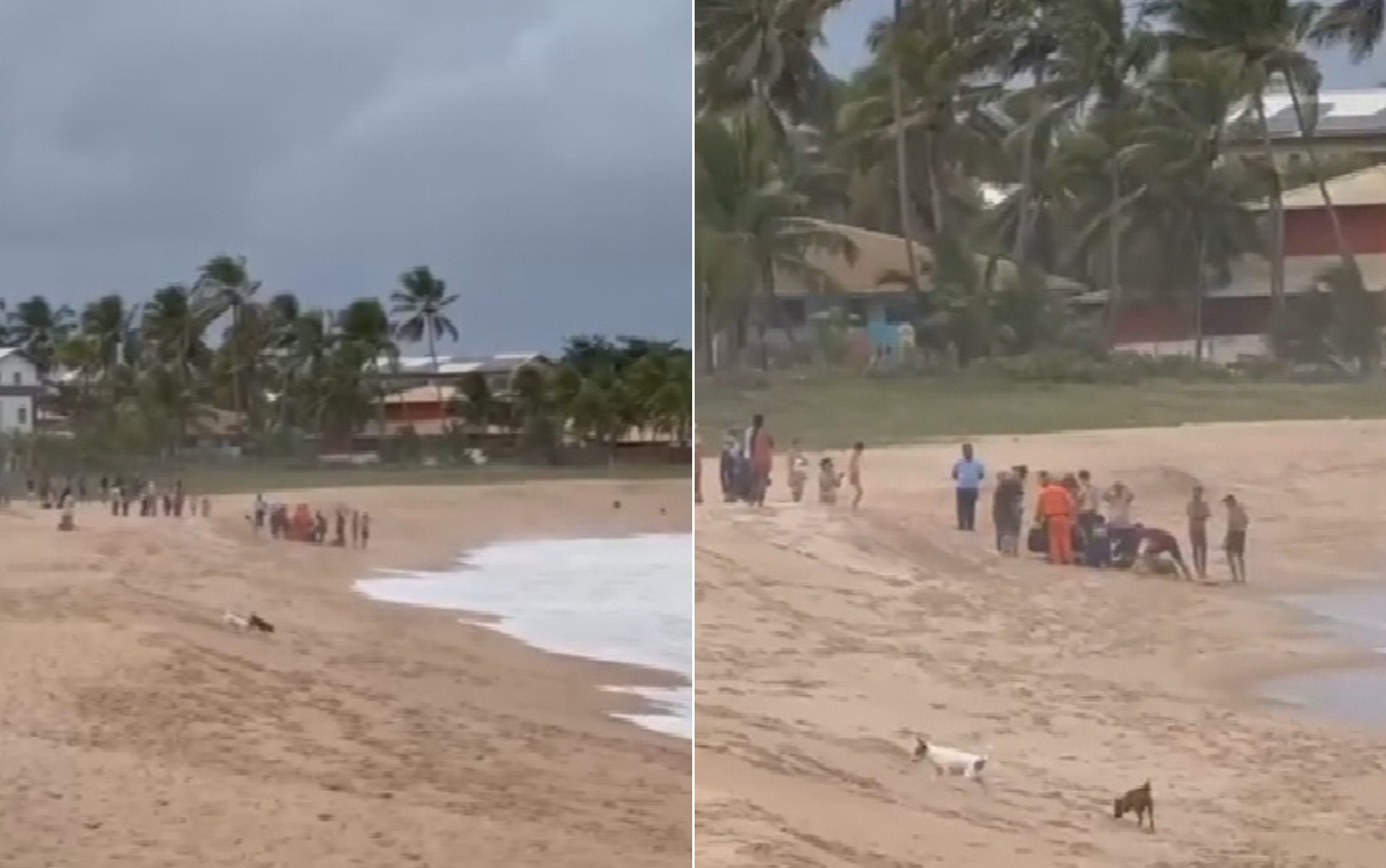 A Bravura Fatal de Reginaldo Simões: O Custo da Insegurança nas Praias Brasileiras para Famílias Goianas