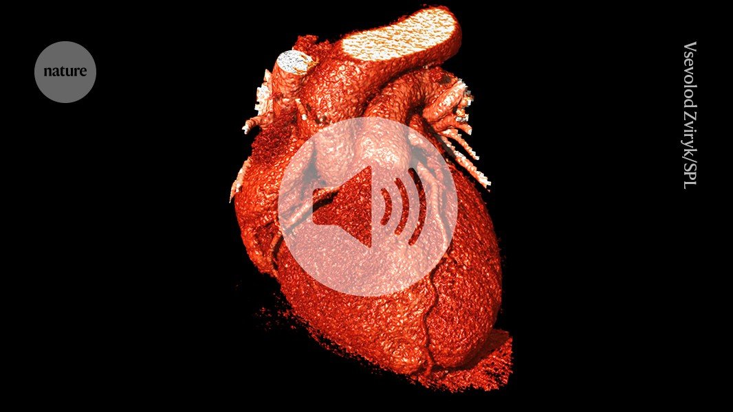 Cirurgia cardíaca com fluido magnético de rápida solidificação pode prevenir derrames