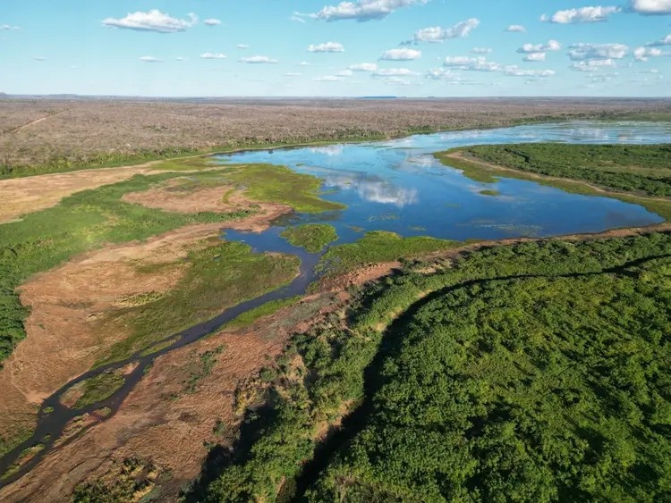 Desaparecimento no Rio Gurguéia: Um Alerta Urgente para a Segurança Hídrica Regional