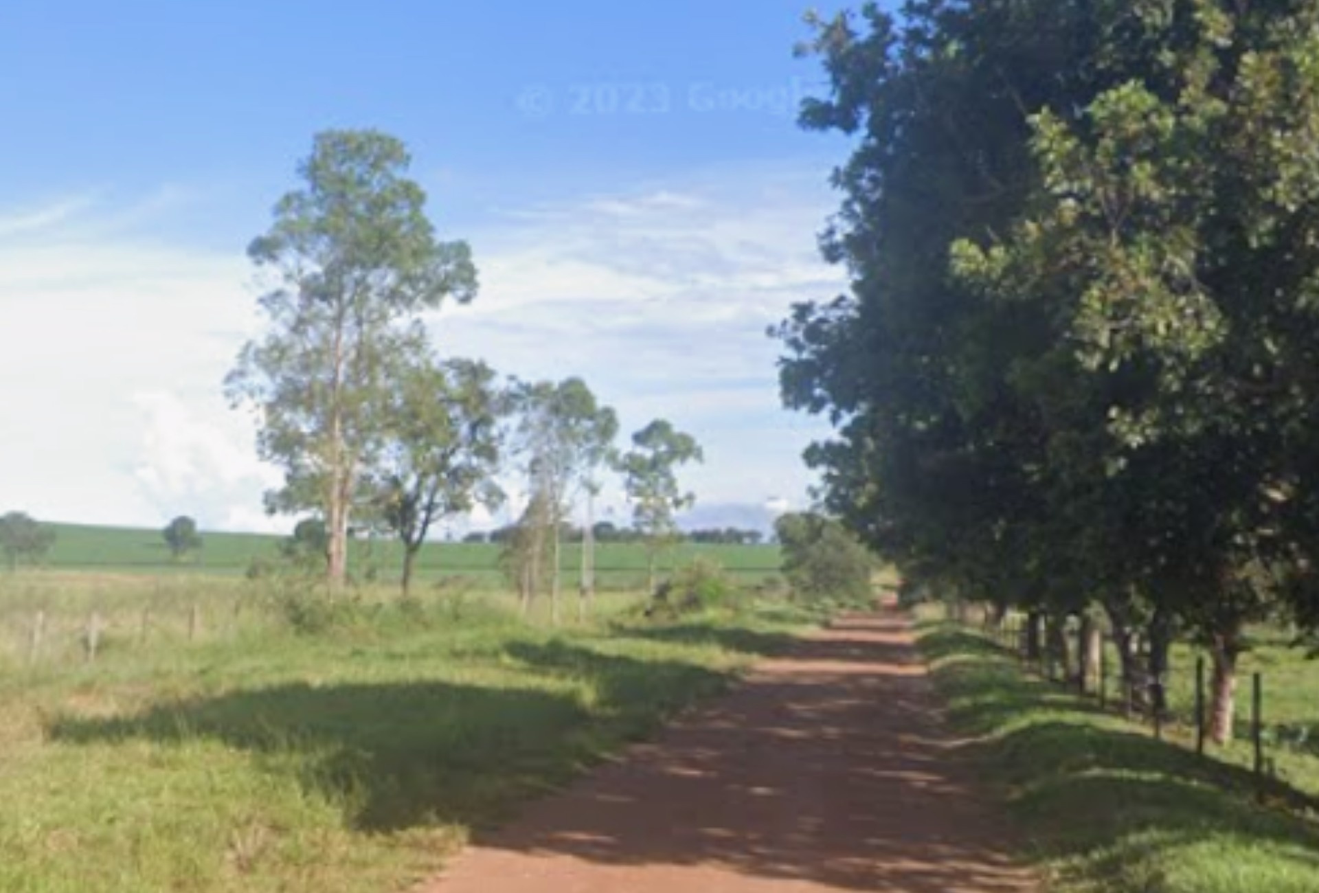 Homicídio de Idoso em Assentamento na MS-080 Escancara Desafios Intrínsecos da Segurança Rural em Mato Grosso do Sul