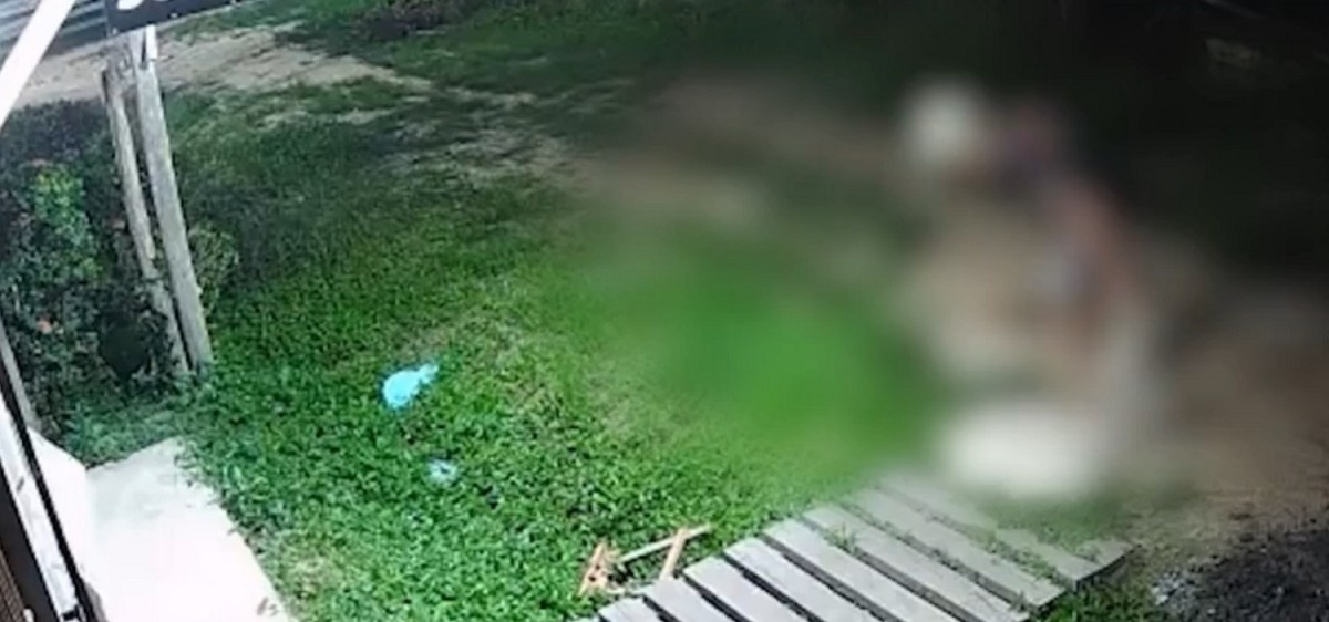 A Prisão por Maus-Tratos em Muaná: Reflexões Sobre Violência e Fiscalização no Marajó