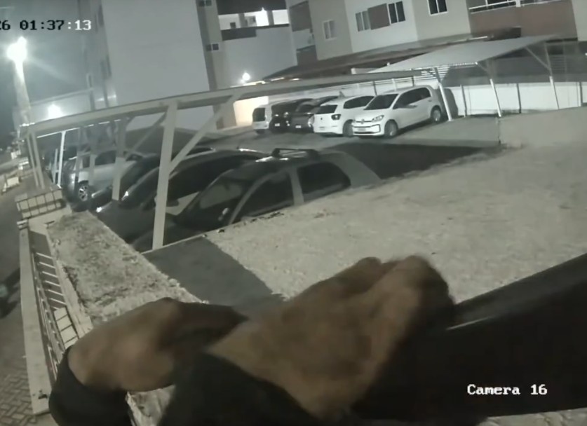 João Pessoa: Prisão por Tentativa de Invasão Eleva o Debate sobre Segurança em Condomínios