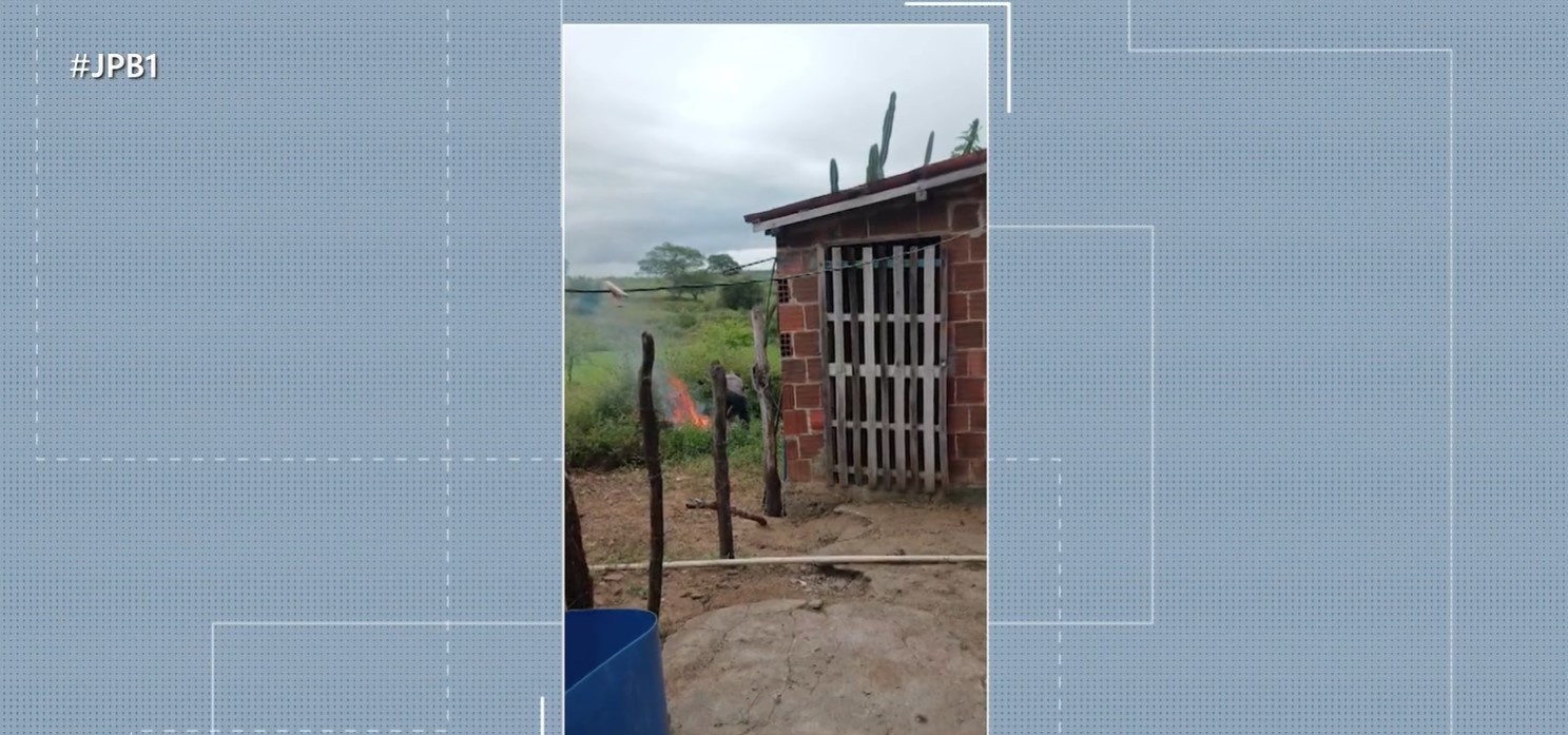 Paraíba: Ato de Crueldade em Queimadas Reacende Debate Sobre Violência e Proteção Animal