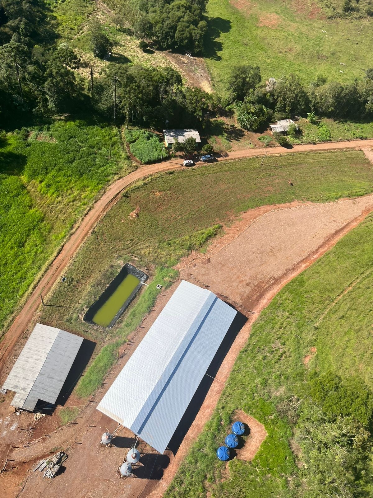 Feminicídio no Oeste Catarinense: Análise Profunda da Recorrência da Violência Doméstica