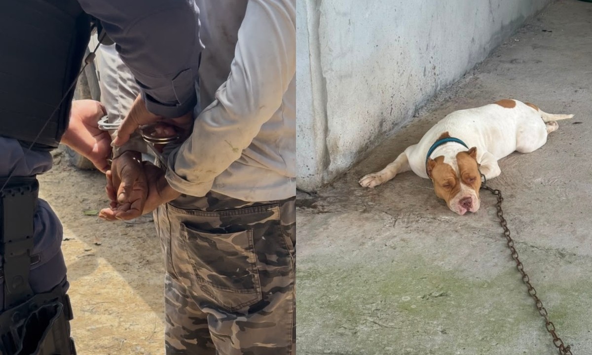 Prisão por Maus-Tratos em Presidente Figueiredo: Mais Que um Crime, um Alerta Regional para o Bem-Estar Animal
