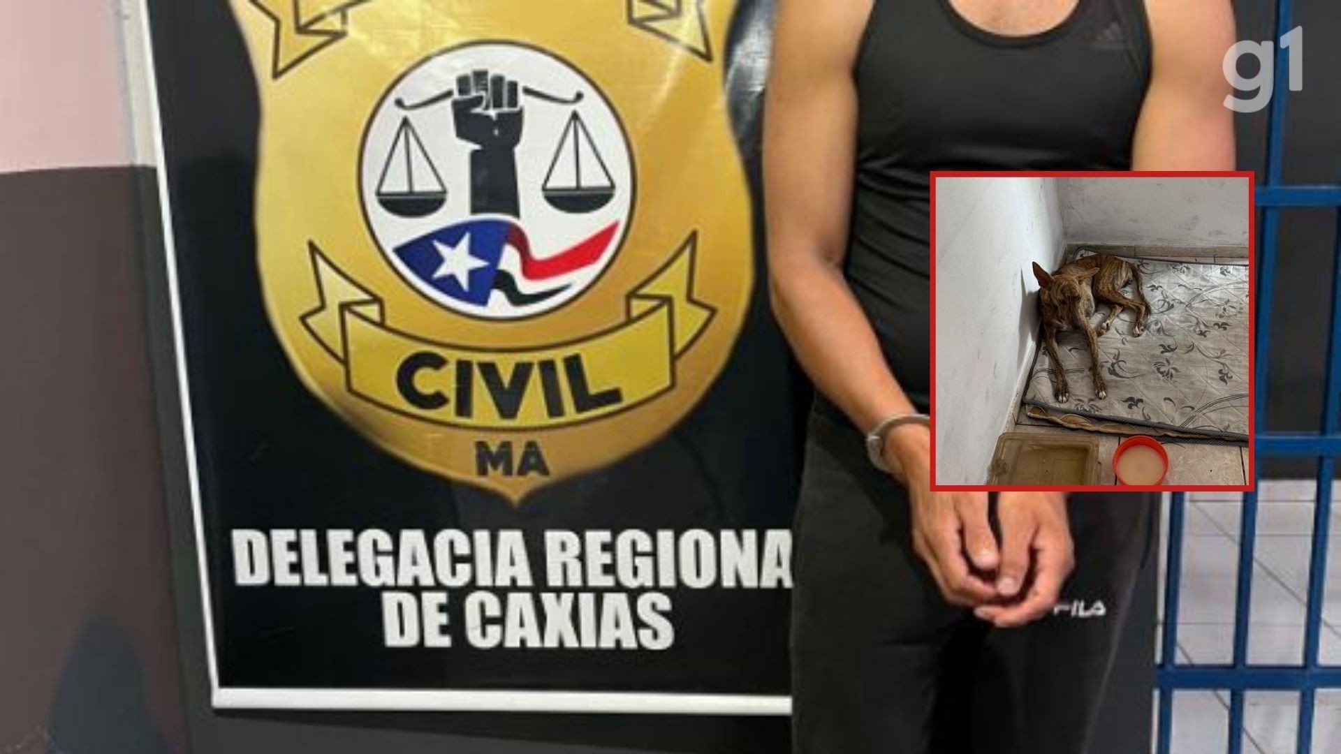 Caxias em Alerta: Prisão por Zoofilia Revela Desafios na Proteção Animal e Segurança Digital Regional