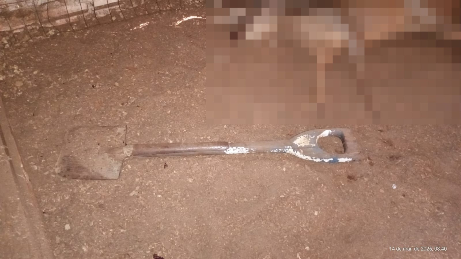 Invasão Bárbaria em Zoológico Gaúcho Revela Fraturas na Segurança Pública e Custo Social