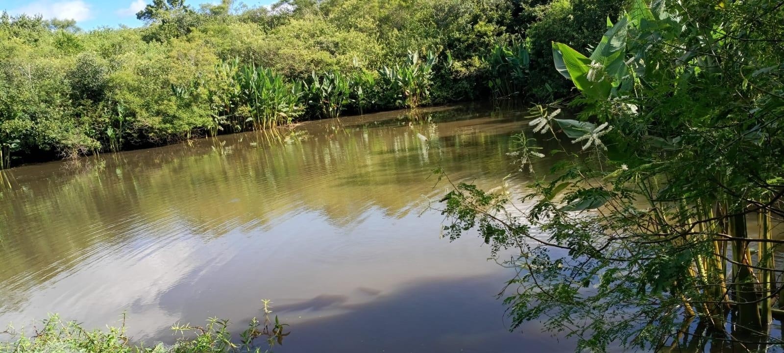 Tragédia em Campina Grande: O Afogamento que Revela a Urgência da Conscientização em Águas Interiores na Paraíba