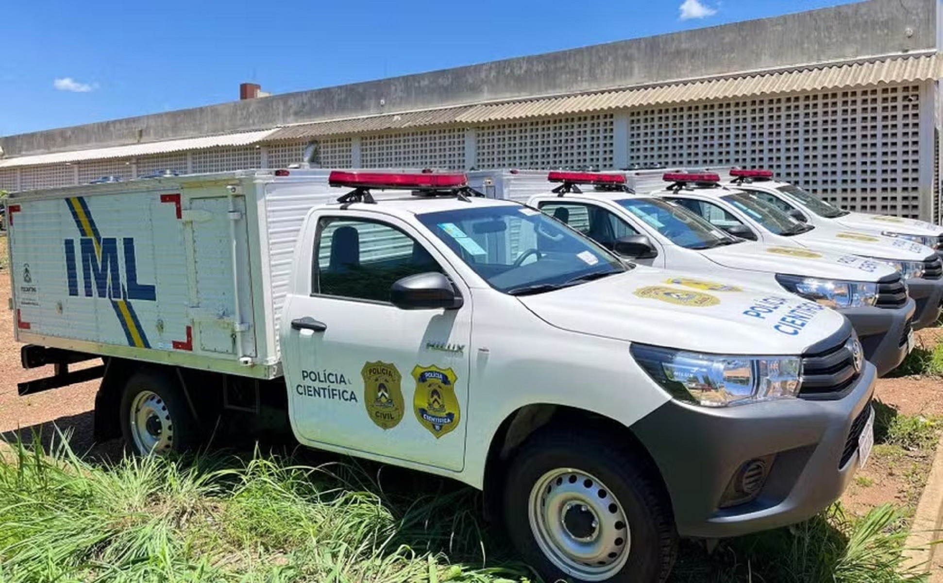 Eletrocussão em Araguatins: Análise da Precariedade Energética que Vitima Vidas Rurais