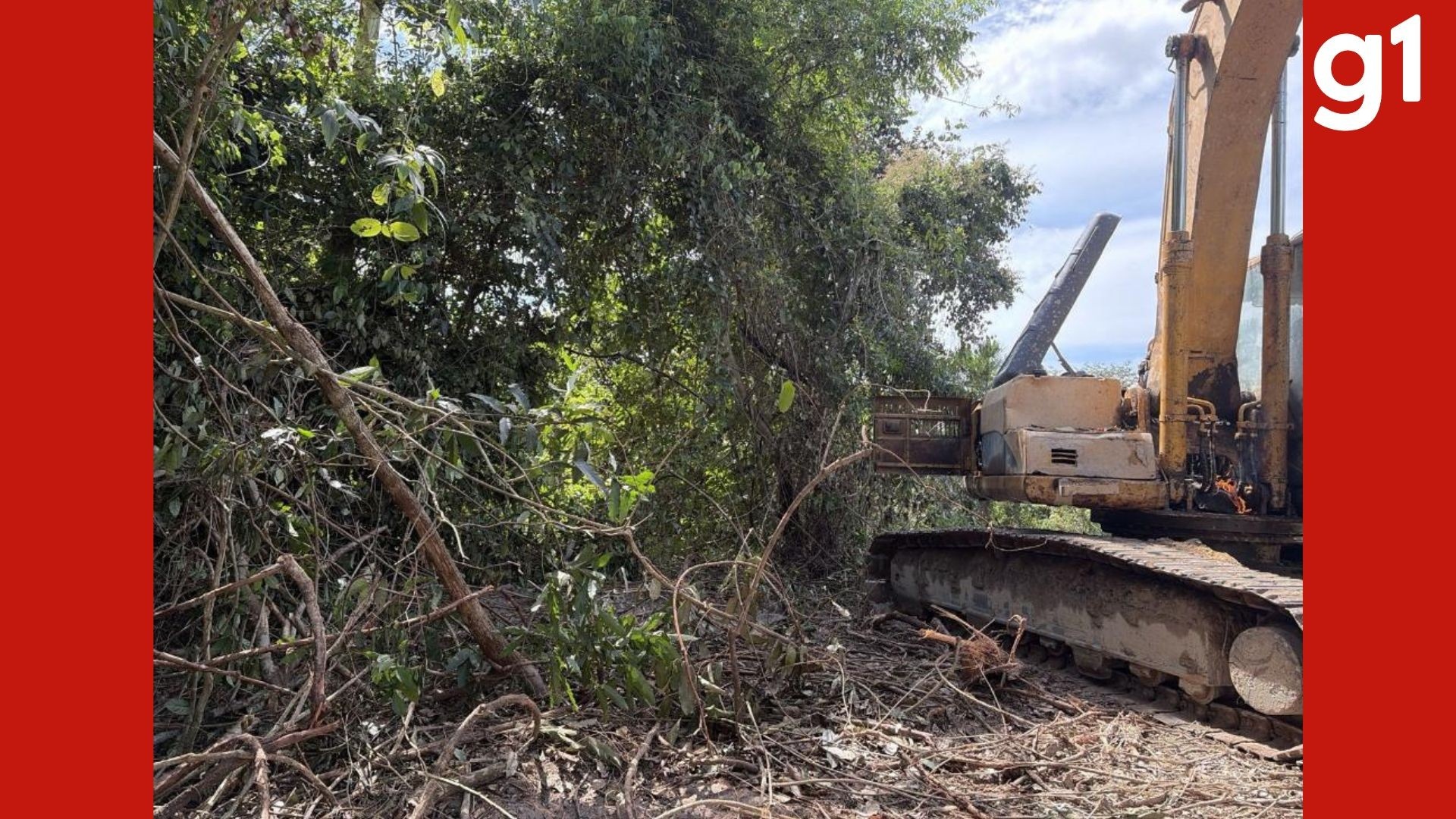 Mineração Ilegal em Mato Grosso: Ação Desesperada e o Custo do Desrespeito Ambiental