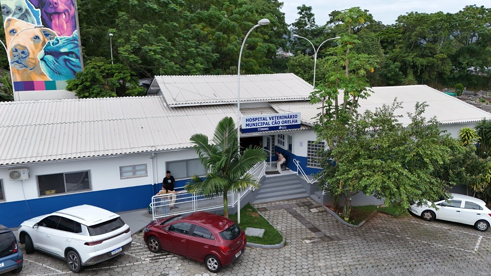 Florianópolis Consolida Liderança em Bem-Estar Animal com Mais de 40 Mil Atendimentos Públicos